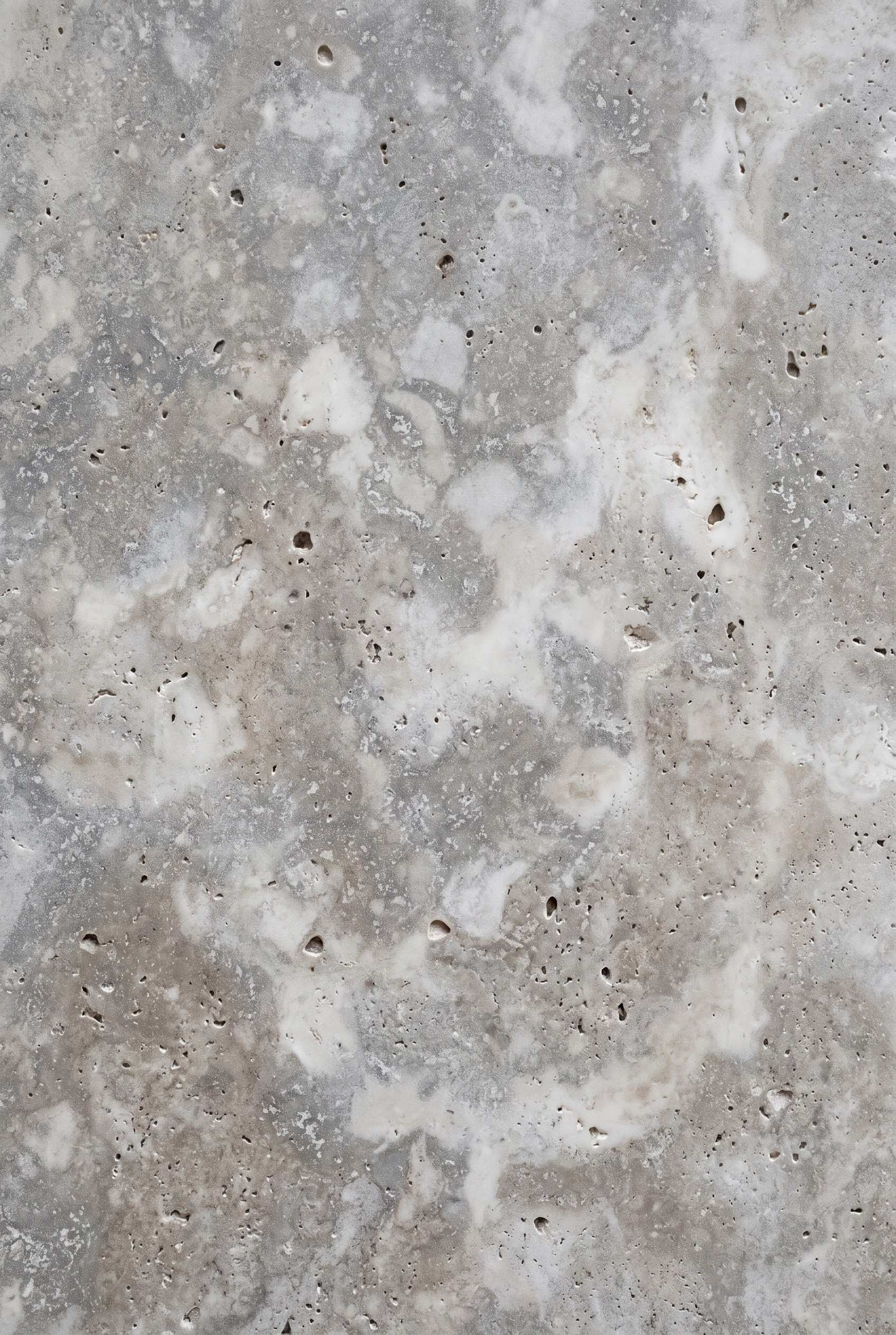 Illustration of Silver travertine, cross-cut, honed face.